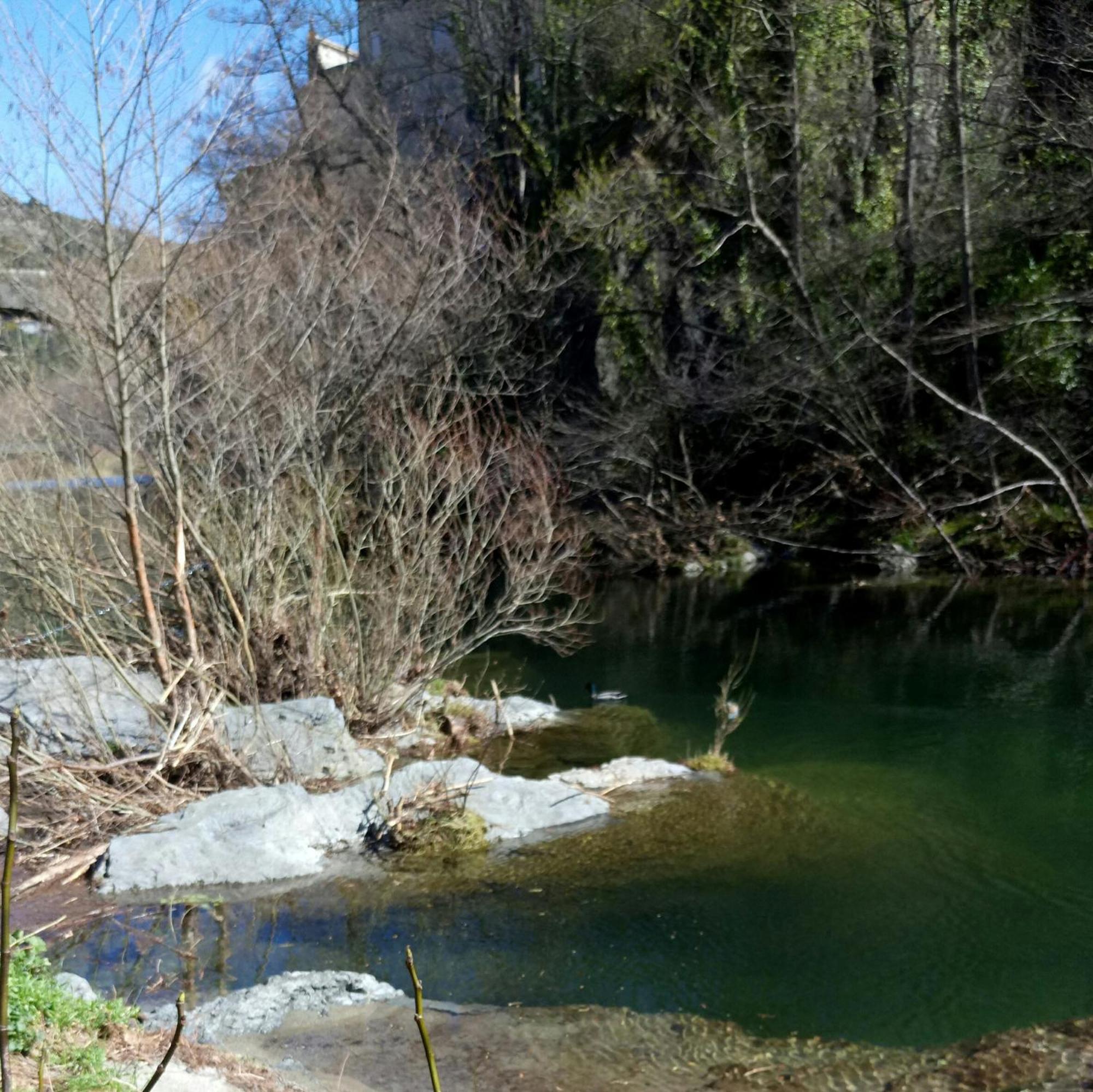 Le Moulin Aux Chandelles 2, Vacances & W-E, Vues Riviere, Montagne & Ville, Tout Confort Deconnecte, Eclairage Bougies, Connexions A 200M Au Centre Le Vigan Gite Les Amoureux De L'Arre, Randonnee Chemin De Saint-Guilhem-Le-Desert, Lire Profil Avant R Exterior photo